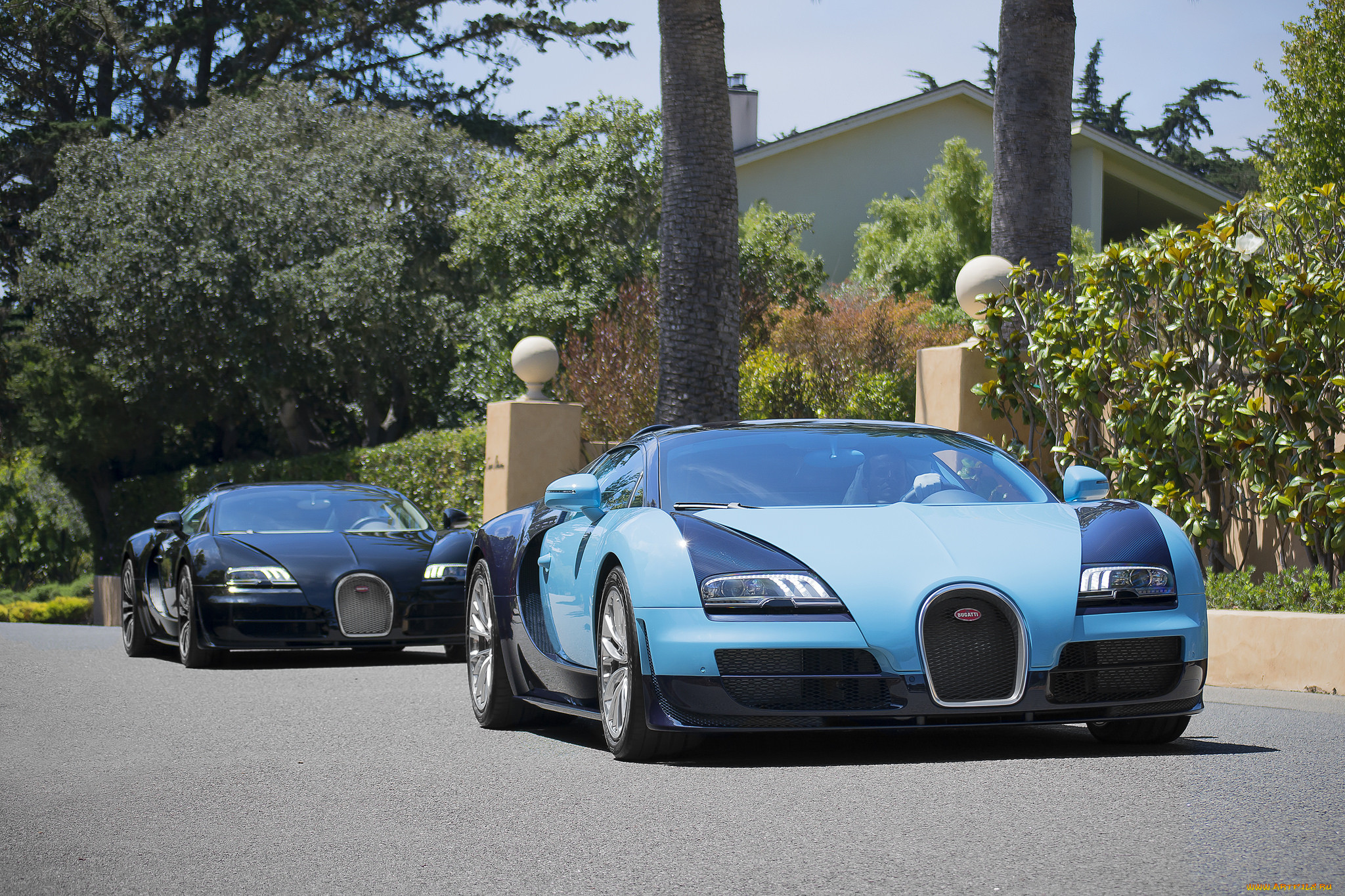 bugatti veyron legends editions, , bugatti, 